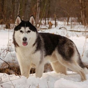 Meet your Posher, Maria l